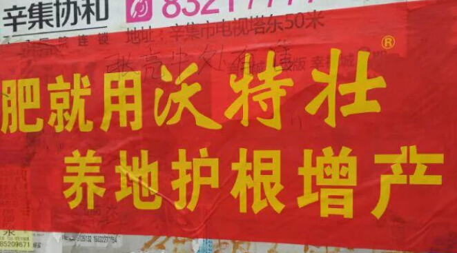 小王聊鸡爪