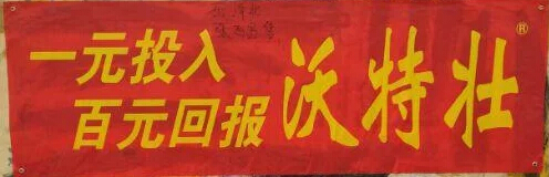 小王聊鸡爪