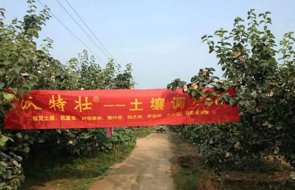 小王聊鸡爪