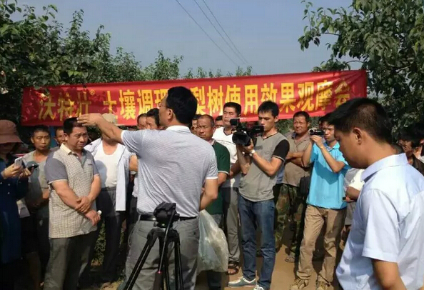 小王聊鸡爪