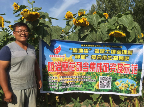 成都华宏在内蒙乌拉特水肥一体化防治食葵列当成功