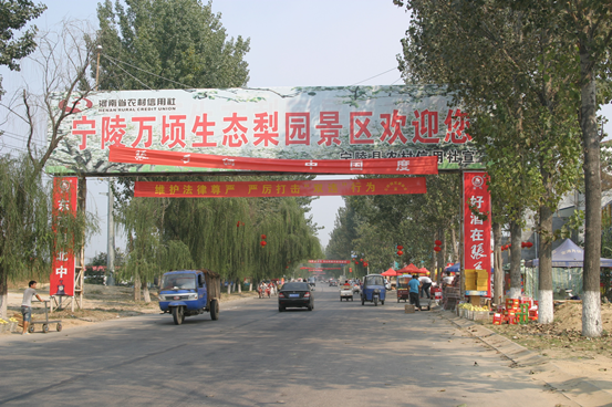 碳氢播报：中国碳氢有机酥梨在河南宁陵再获成功