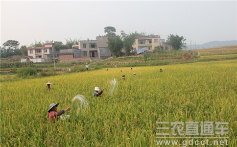 我国发布新的化肥淡储管理办法