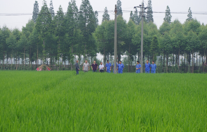 施地佳土壤调理剂采用新技术改善土壤酸化现象取得突破