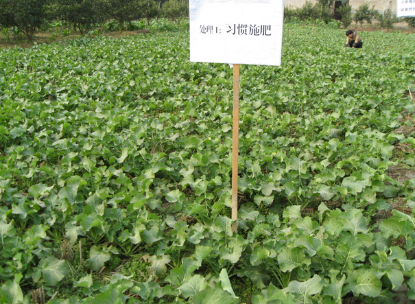 施地佳土壤调理剂：酸化土壤改良领域里的新突破