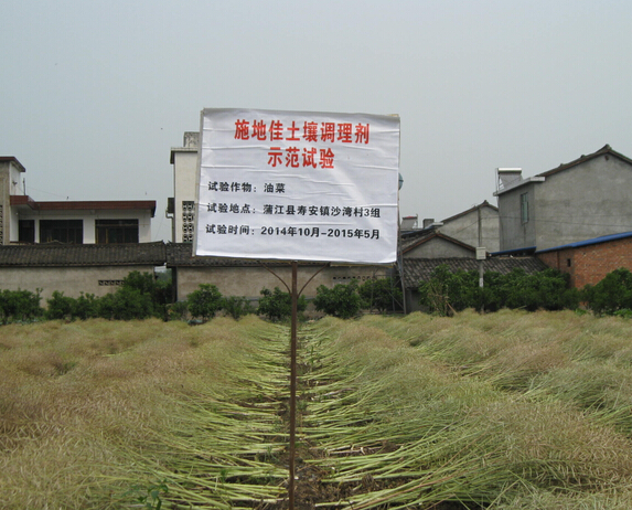 施地佳土壤调理剂：酸化土壤改良领域里的新突破