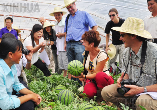 碳氢播报：荷兰国王访华激活中国农业向荷兰学习热情