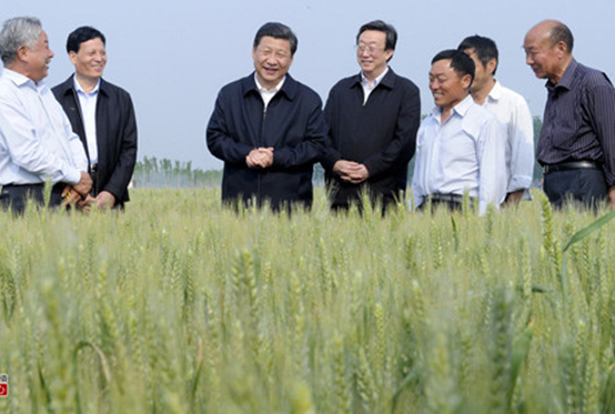碳氢播报：中碳联盟任命刘伟为首位全国农垦领域碳氢农业“封疆大吏”