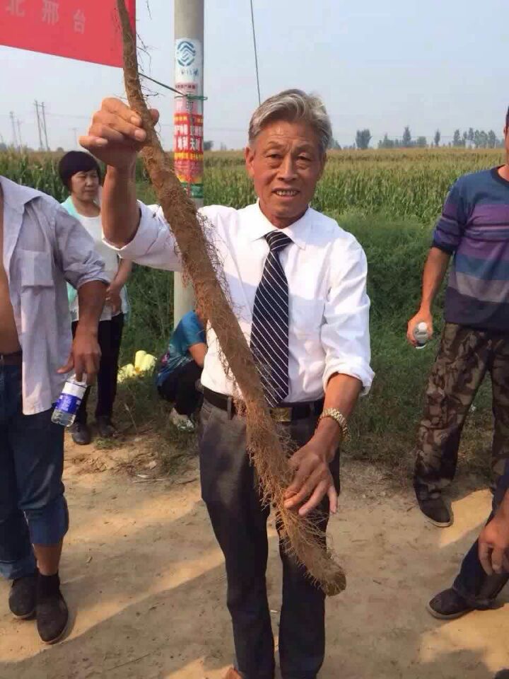 铁杆农科中国农业科技万里行与粮食安全的联系