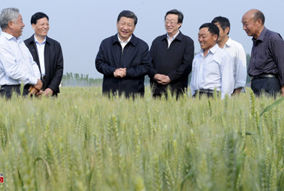 碳氢播报：两岸四地泛珠区域首届“食品安全链”产业发展创新论坛明日启动