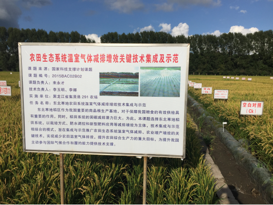 施地佳调理剂再创佳绩！在黑龙江水稻种植区成功示范