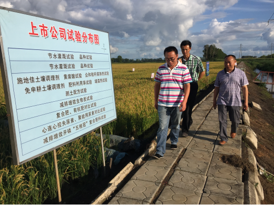 施地佳调理剂再创佳绩！在黑龙江水稻种植区成功示范