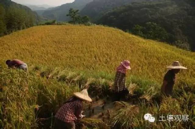 还土地以尊严——从土地伦理和生态伦理视角看农业伦理