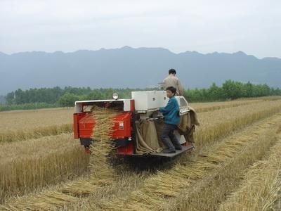 安徽农机跨区支援战“三夏” 发挥麦收主力优势