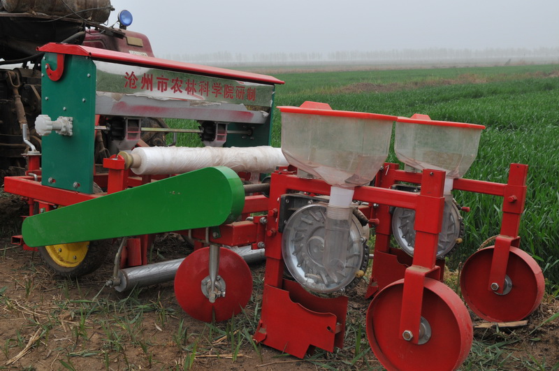 春玉米规模种植用上专业播种机 形成了河北省地方标准