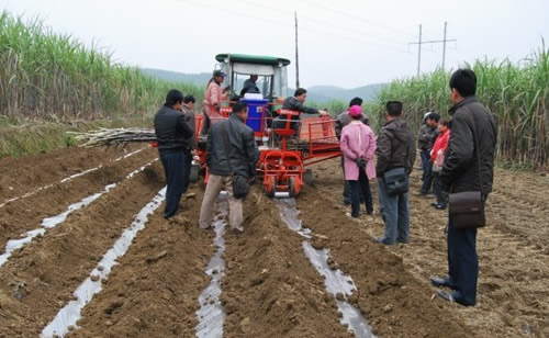 广西甘蔗种植方式转向全程机械化.jpg