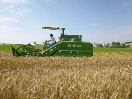 小麦机械化生产技术.jpg