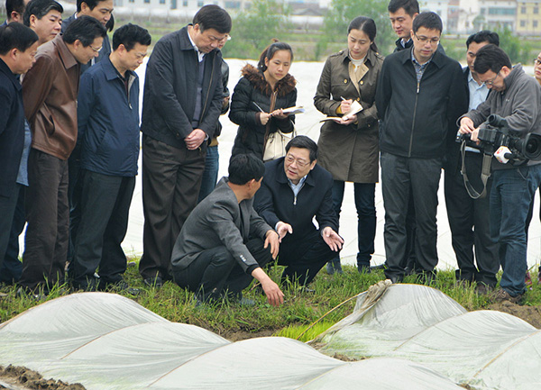 杜家毫省长调研春耕生产和现代农机合作社建设情况.jpg