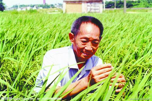 袁隆平：梦想成真，要看科技发展.jpg