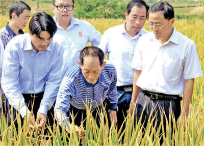 袁隆平畅谈羊年愿望：争取提前实现超级稻每公顷产量16吨.jpg