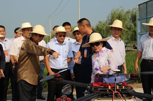 柬埔寨王国政府代表团参观多旋翼式无人施药机.jpg
