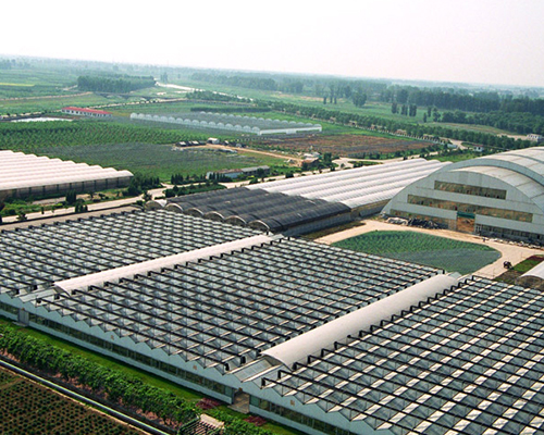北京国家现代农业科技城以国际合作促进产业化发展.jpg