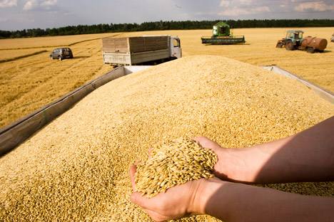 美国农业部预测哈小麦出口将会增长3.4%.jpg