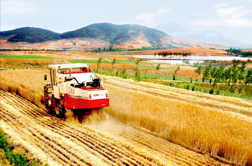 2015年农作物耕种收综合机械化率预计达63%.jpg