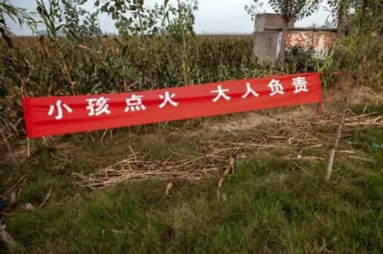 河南打击焚烧秸秆 路上雷人标语频现6.jpg