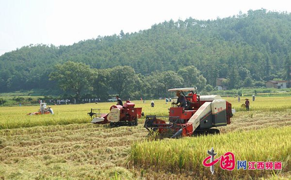 江西去年农机补贴使用与结算进度均居全国“第一”.jpg