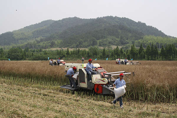 广西农机购置去年补贴5.45亿元 受益农户20.32万户.jpg