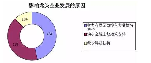 中国农业现代化的真相：来自基层的调查报告6.png