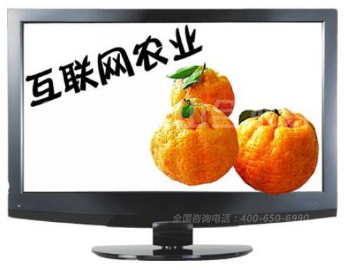 互联网农业.jpg