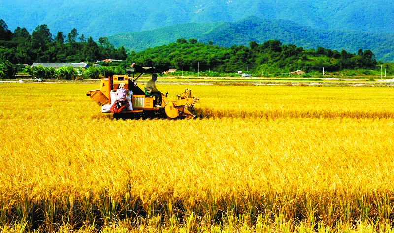 三农发展+行业景气 “农机”成看点