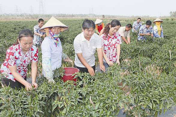 银监会细化金融支持现代农业.jpg