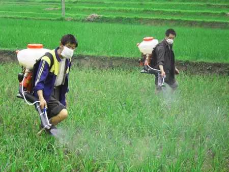 农民用药6个误区,与你有关!