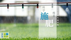 2科学施肥横版
