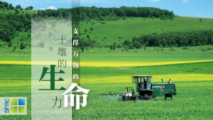5生命力横版