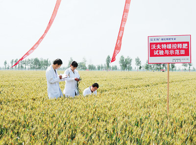全国农业技术推广服务中心在全国各地开展缓控释肥示范推广工作.jpg