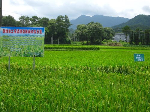 施地佳土壤调理剂兴国县示范数据出炉 调理酸化土壤助产一步到位