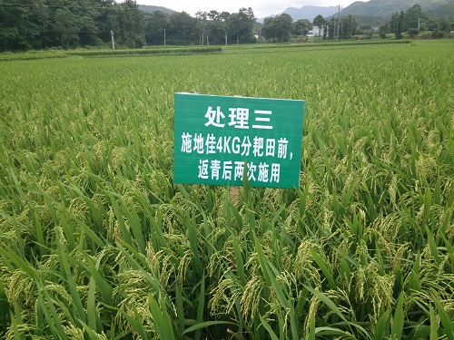 施地佳土壤调理剂兴国县示范数据出炉 调理酸化土壤助产一步到位