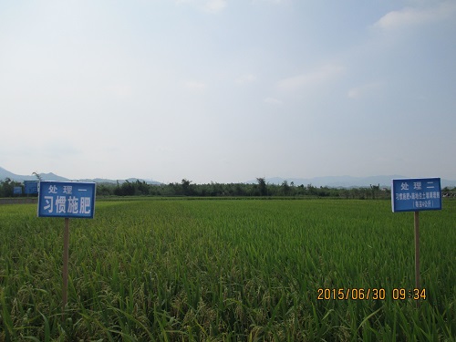 施地佳土壤调理剂在江西革命老区稻田酸化土壤示范成功 