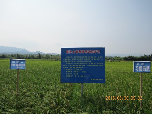 施地佳土壤调理剂在江西革命老区稻田酸化土壤示范成功 
