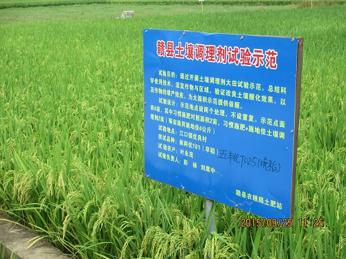 施地佳土壤调理剂在江西革命老区稻田酸化土壤示范成功 
