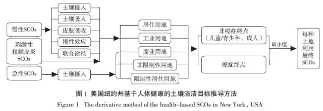 污染土壤修复基准值推导和确立的原则与方法