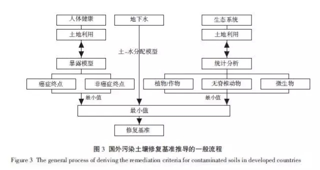 污染土壤修复基准值推导和确立的原则与方法