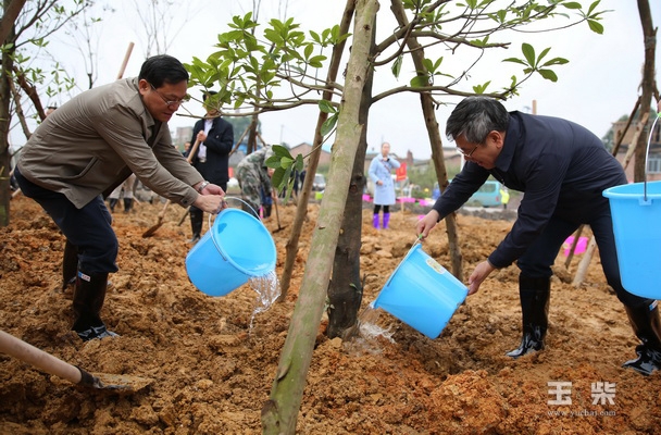 王凯书记率市机关单位人员为玉柴产业新城添绿.jpg