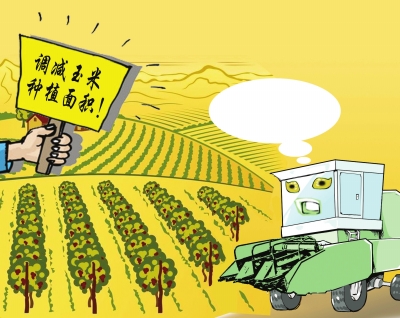 面积减了玉米机怎么办？.jpg