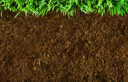 土壤修复方法大进展：找到土壤耐受重金属毒害关键基因
