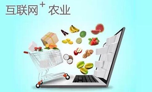 农村电商.jpg